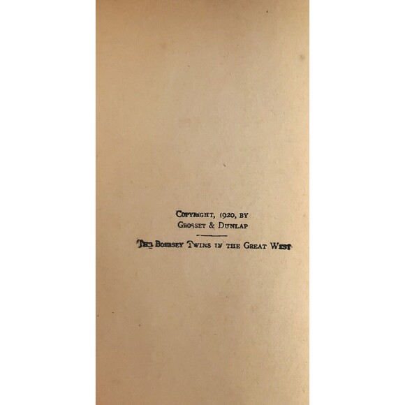 Bobbsey Twins Books Laura Lee Hope In The Great West Merry Days Indoors And Out - Picture 6 of 7